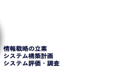情報戦略の立案、システム構築計画、システム評価・調査